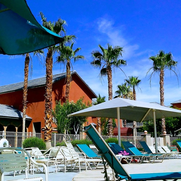 Meet your Posher, Emily - Picture 1 of 1